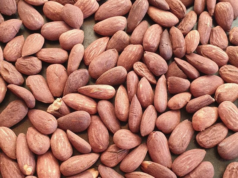 Cliquez pour zoomer ! Nougat Thermomix par pachat