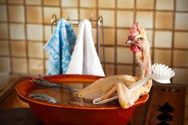 Cliquez pour zoomer ! Marinade orange gingembre Thermomix par 🦕VéroFripouille🦖