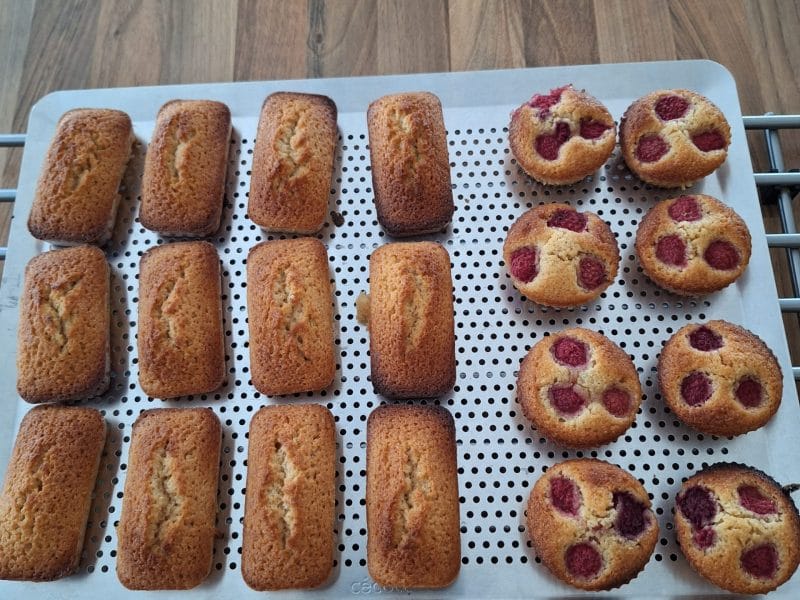 Cliquez pour zoomer ! Financiers Thermomix par 🦕VéroFripouille🦖