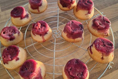 Cliquez pour zoomer ! Visitandines aux framboises Thermomix par 🦕VéroFripouille🦖