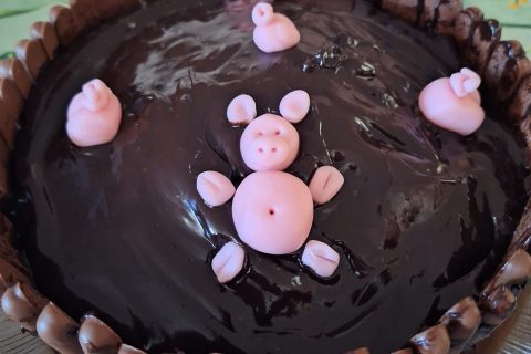 Cliquez pour zoomer ! La mare aux cochons Thermomix par 🦕VéroFripouille🦖