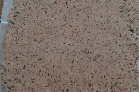 Cliquez pour zoomer ! Crackers salés à l’emmental et aux graines Thermomix par 🦕VéroFripouille🦖