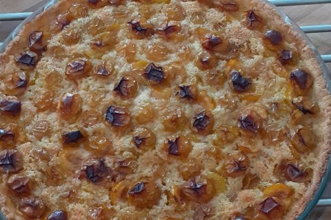 Cliquez pour zoomer ! Tarte aux mirabelles Thermomix par 🦕VéroFripouille🦖