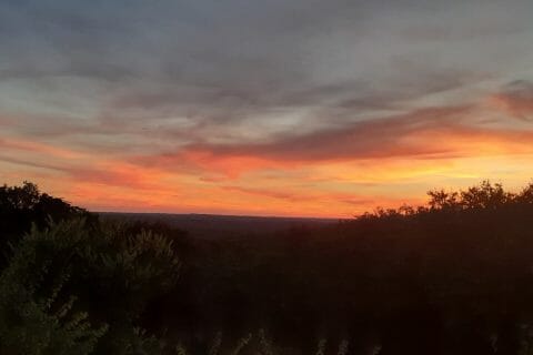 Cliquez pour zoomer ! Champignons à la grecque Thermomix par 🦕VéroFripouille🦖