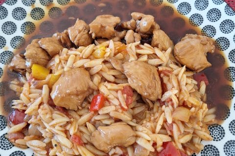 Cliquez pour zoomer ! Brochettes yakitori de saumon Thermomix par 🦕VéroFripouille🦖