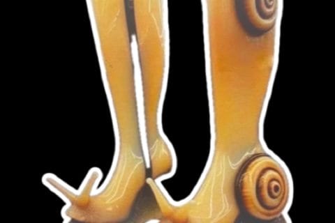 Cliquez pour zoomer ! Photo de 🦕VéroFripouille🦖