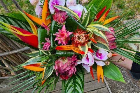 Cliquez pour zoomer ! Photo de 🦕VéroFripouille🦖