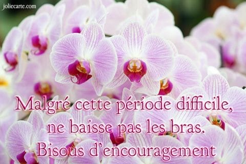 Cliquez pour zoomer ! Photo de 🦕VéroFripouille🦖