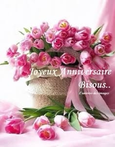 Cliquez pour zoomer ! Photo de 🦕VéroFripouille🦖