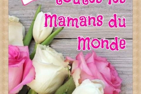 Cliquez pour zoomer ! Photo de 🦕VéroFripouille🦖 Thermomix par 🦕VéroFripouille🦖