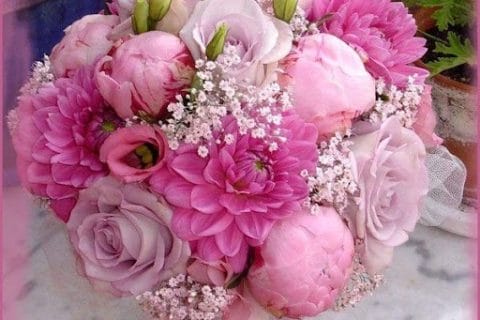 Cliquez pour zoomer ! Photo de 🦕VéroFripouille🦖 Thermomix par 🦕VéroFripouille🦖