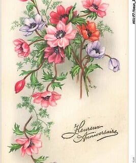 Cliquez pour zoomer ! Photo de 🦕VéroFripouille🦖