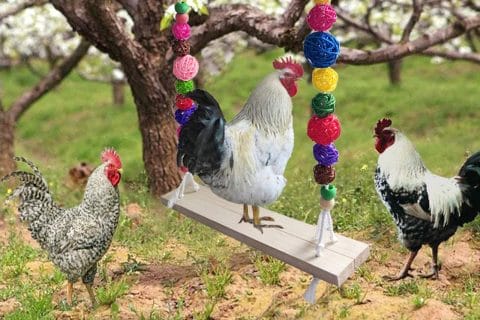 Cliquez pour zoomer ! Photo de 🦕VéroFripouille🦖