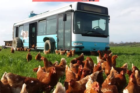 Cliquez pour zoomer ! Photo de 🦕VéroFripouille🦖