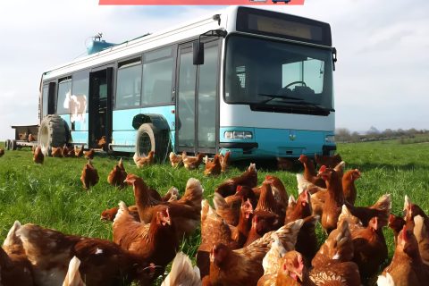 Cliquez pour zoomer ! Photo de 🦕VéroFripouille🦖