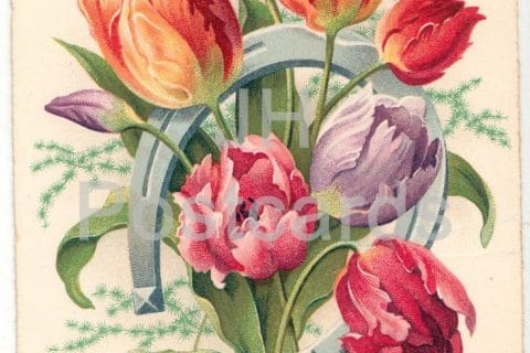 Cliquez pour zoomer ! Photo de 🦕VéroFripouille🦖