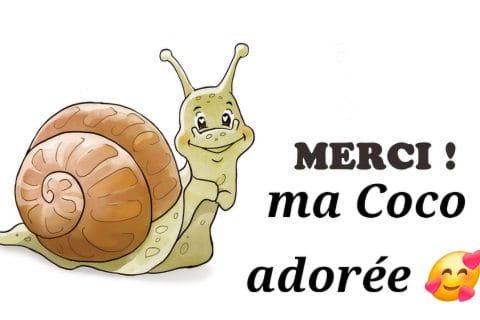 Cliquez pour zoomer ! Photo de 🦕VéroFripouille🦖