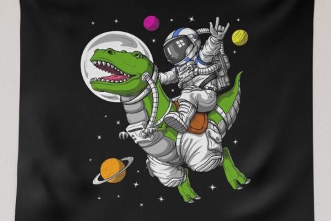 Cliquez pour zoomer ! Photo de 🦕VéroFripouille🦖