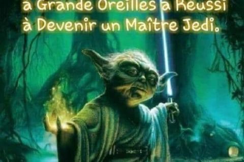 Cliquez pour zoomer ! Photo de 🦕VéroFripouille🦖