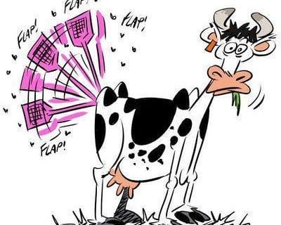 Cliquez pour zoomer ! Photo de 🦕VéroFripouille🦖