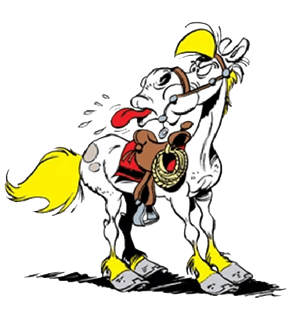 Cliquez pour zoomer ! Photo de 🦕VéroFripouille🦖