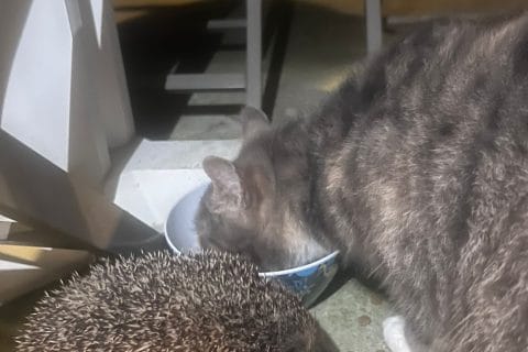 Cliquez pour zoomer ! Photo de 🦕VéroFripouille🦖