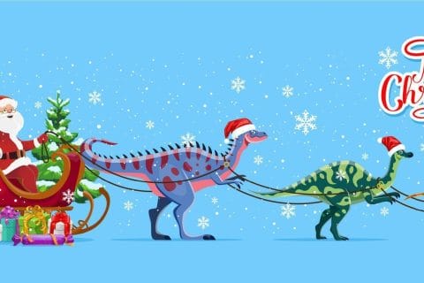 Cliquez pour zoomer ! Photo de 🦕VéroFripouille🦖