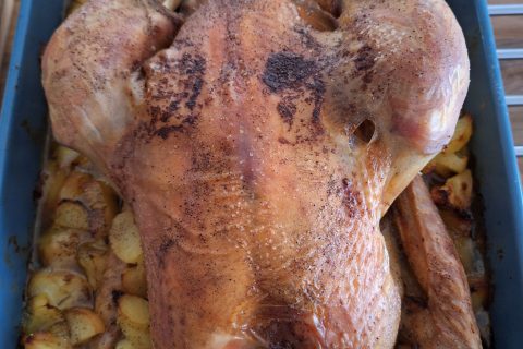 Cliquez pour zoomer ! Photo de 🦕VéroFripouille🦖