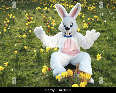 Cliquez pour zoomer ! Photo de 🦕VéroFripouille🦖