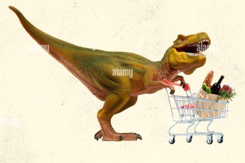 Cliquez pour zoomer ! Photo de 🦕VéroFripouille🦖