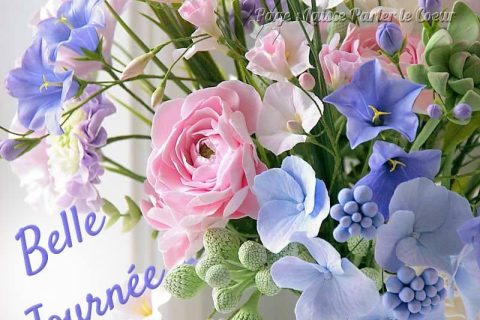 Cliquez pour zoomer ! Photo de 🦕VéroFripouille🦖