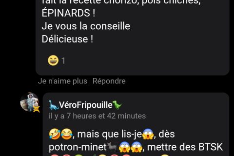 Cliquez pour zoomer ! Photo de 🦕VéroFripouille🦖