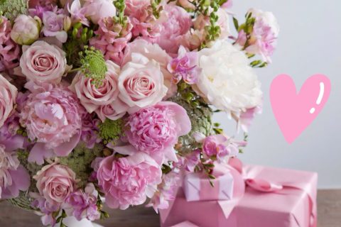 Cliquez pour zoomer ! Photo de 🦕VéroFripouille🦖