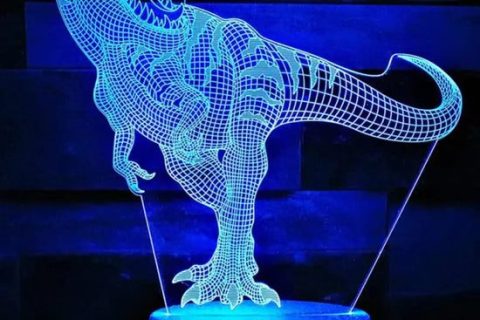 Cliquez pour zoomer ! Photo de 🦕VéroFripouille🦖