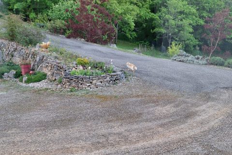 Cliquez pour zoomer ! Photo de 🦕VéroFripouille🦖