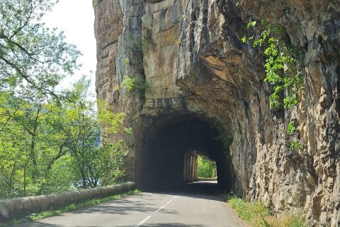 Cliquez pour zoomer ! Photo de 🦕VéroFripouille🦖