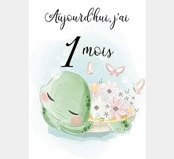 Cliquez pour zoomer ! Photo de 🦕VéroFripouille🦖