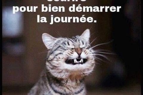 Cliquez pour zoomer ! Photo de 🦕VéroFripouille🦖