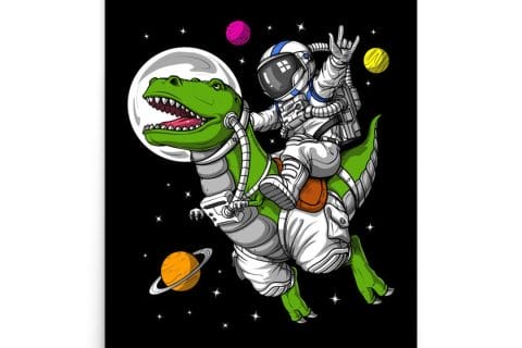 Cliquez pour zoomer ! Photo de 🦕VéroFripouille🦖