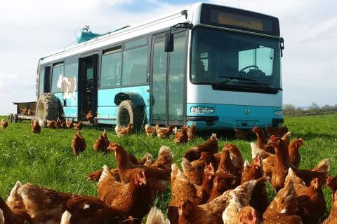 Cliquez pour zoomer ! Photo de 🦕VéroFripouille🦖