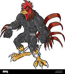 Cliquez pour zoomer ! Photo de vero4676