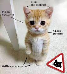 Cliquez pour zoomer ! Photo de vero4676