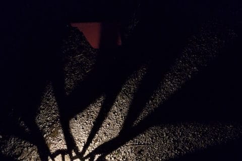 Cliquez pour zoomer ! Photo de 🦕VéroFripouille🦖