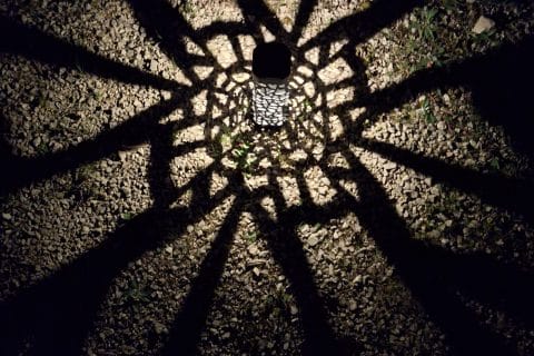 Cliquez pour zoomer ! Photo de 🦕VéroFripouille🦖