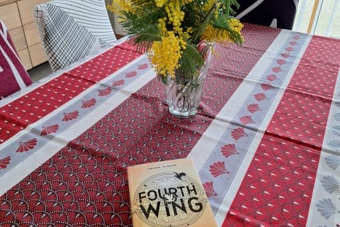 Cliquez pour zoomer ! Photo de 🦕VéroFripouille🦖