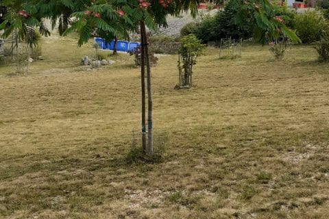 Cliquez pour zoomer ! Photo de vero4676