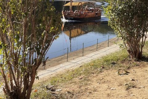 Cliquez pour zoomer ! Photo de 🦕VéroFripouille🦖 Thermomix par 🦕VéroFripouille🦖