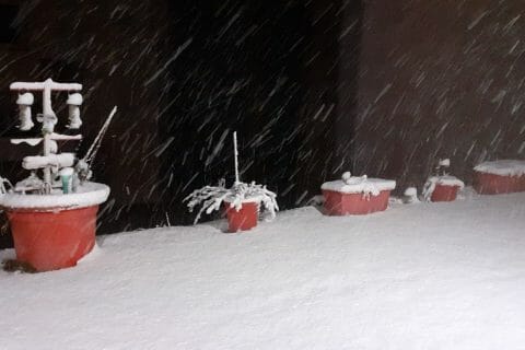 Cliquez pour zoomer ! Photo de 🦕VéroFripouille🦖