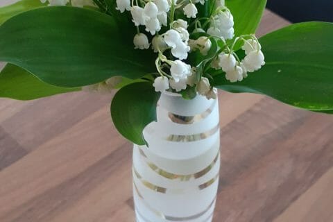 Cliquez pour zoomer ! Photo de vero4676