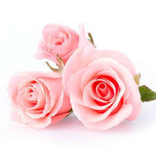 Cliquez pour zoomer ! Photo de vero4676